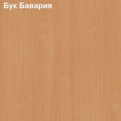 Антресоль для большого шкафа Логика Л-14.3 в Верхней Салде - verhnyaya-salda.mebel24.online | фото 2