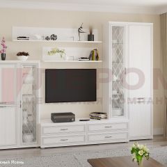 Гостиная Карина Композиция 12 (Снежный ясень) в Верхней Салде - verhnyaya-salda.mebel24.online | фото