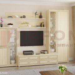 Гостиная Карина Композиция 12 (Ясень Асахи) в Верхней Салде - verhnyaya-salda.mebel24.online | фото