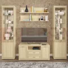 Гостиная Карина Композиция 13 (Ясень Асахи) в Верхней Салде - verhnyaya-salda.mebel24.online | фото