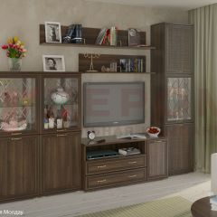 Гостиная Карина Композиция 22 (Акация Молдау) в Верхней Салде - verhnyaya-salda.mebel24.online | фото