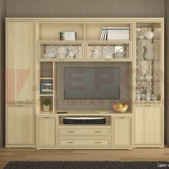 Гостиная Карина Композиция 9 (Ясень Асахи) в Верхней Салде - verhnyaya-salda.mebel24.online | фото