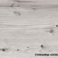 Кухонный гарнитур Сиена мини 1000 мм в Верхней Салде - verhnyaya-salda.mebel24.online | фото 8