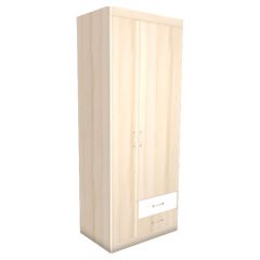 НИКА Н10 Шкаф для одежды в Верхней Салде - verhnyaya-salda.mebel24.online | фото