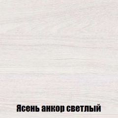Шкаф 2-х створчатый МСП-1 (Ясень Анкор светлый) в Верхней Салде - verhnyaya-salda.mebel24.online | фото 4