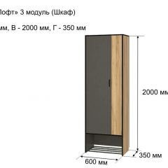 ОЛЬГА-ЛОФТ 3 Шкаф 2-х створчатый в Верхней Салде - verhnyaya-salda.mebel24.online | фото 4