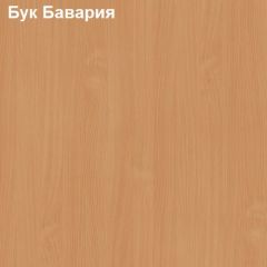 Шкаф для документов средний с нижними дверями Логика Л-13.1 в Верхней Салде - verhnyaya-salda.mebel24.online | фото 2