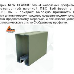 Шкаф-купе 1500 серии NEW CLASSIC K3+K3+B2+PL1 (2 ящика+1 штанга) профиль «Капучино» в Верхней Салде - verhnyaya-salda.mebel24.online | фото 5