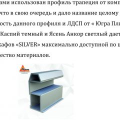 Шкаф-купе 1500 серии SILVER S1+S1+B2+PL2 (2 ящика+1 штанга+1 полка) профиль «Серебро» в Верхней Салде - verhnyaya-salda.mebel24.online | фото 4