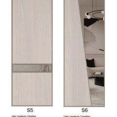 Шкаф-купе 1500 серии SILVER S4+S3Z+B2+PL1 (2 ящика+1 штанга) профиль «Серебро» в Верхней Салде - verhnyaya-salda.mebel24.online | фото 11