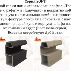 Шкаф-купе 1800 серии SOFT D1+D3+B2+PL1 (2 ящика+1штанга) профиль «Графит» в Верхней Салде - verhnyaya-salda.mebel24.online | фото 11