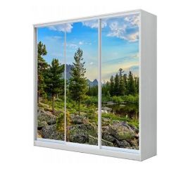Шкаф-купе ХИТ 23-20/2-777 (620) в Верхней Салде - verhnyaya-salda.mebel24.online | фото