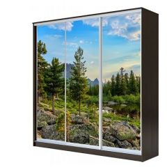 Шкаф-купе ХИТ 23-4-18-777 (420) в Верхней Салде - verhnyaya-salda.mebel24.online | фото 1