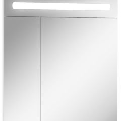 Шкаф-зеркало Аврора 65 с подсветкой LED Домино (DV8006HZ) в Верхней Салде - verhnyaya-salda.mebel24.online | фото