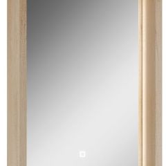 Шкаф-зеркало Nice 45 с подсветкой Домино (DN4704HZ) в Верхней Салде - verhnyaya-salda.mebel24.online | фото 1