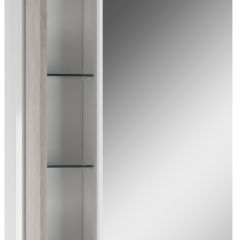 Шкаф-зеркало Uno 60 Дуб серый левый/правый Домино (DU1503HZ) в Верхней Салде - verhnyaya-salda.mebel24.online | фото 3