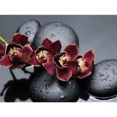 Стол обеденный Бостон Ст101.1 орхидеи в Верхней Салде - verhnyaya-salda.mebel24.online | фото 3
