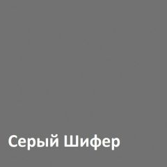 Юнона Шкаф торцевой 13.221 в Верхней Салде - verhnyaya-salda.mebel24.online | фото 2