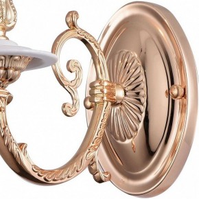 Бра Arte Lamp 8020 A8020AP-1WG в Верхней Салде - verhnyaya-salda.mebel24.online | фото 4