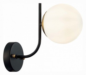 Бра EVOLUCE Ciane SLE1098-401-01 в Верхней Салде - verhnyaya-salda.mebel24.online | фото 3
