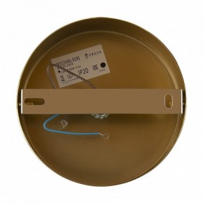 Бра Freya Zelda FR5124WL-01BS в Верхней Салде - verhnyaya-salda.mebel24.online | фото 6