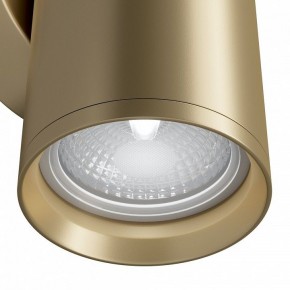 Бра Maytoni Focus S C068WL-02MG в Верхней Салде - verhnyaya-salda.mebel24.online | фото 4