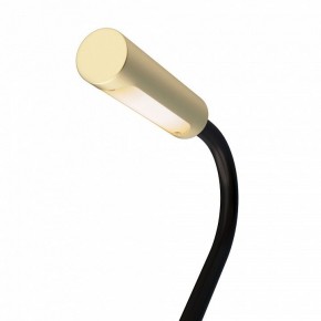 Бра Maytoni Stem C035WL-L3MG3K в Верхней Салде - verhnyaya-salda.mebel24.online | фото 6