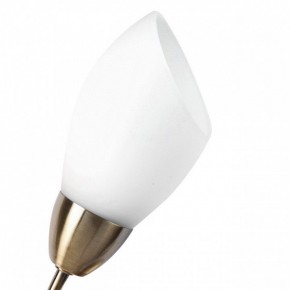 Бра MW-Light Нежность 7 356023001 в Верхней Салде - verhnyaya-salda.mebel24.online | фото 2