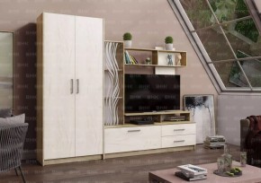 ДАРЬЯ Гостиная (Крафт серый/Крафт белый) в Верхней Салде - verhnyaya-salda.mebel24.online | фото