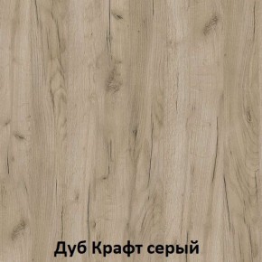 ДАРЬЯ Гостиная (Крафт серый/Крафт белый) в Верхней Салде - verhnyaya-salda.mebel24.online | фото 2