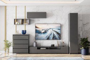 ДЕНВЕР Гостиная (Варианнт-1) Графит серый в Верхней Салде - verhnyaya-salda.mebel24.online | фото