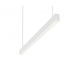 DK9124-WH Линейный светильник 30W 1250mm 4000K, белый в Верхней Салде - verhnyaya-salda.mebel24.online | фото 1