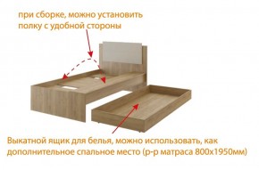 Дуглас (подростковая) М14 Кровать в Верхней Салде - verhnyaya-salda.mebel24.online | фото 5