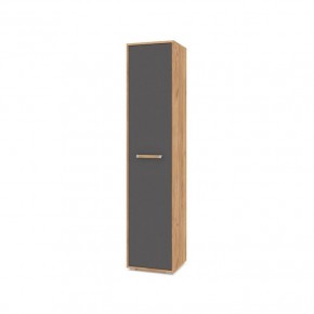 ФЛОРИДА Ф11 Шкаф-пенал (дуб золотой/графит) в Верхней Салде - verhnyaya-salda.mebel24.online | фото