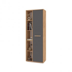 ФЛОРИДА Ф12 Шкаф-стеллаж (дуб золотой/графит) в Верхней Салде - verhnyaya-salda.mebel24.online | фото