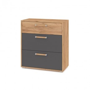 ФЛОРИДА Ф41 Комод (дуб золотой/графит) в Верхней Салде - verhnyaya-salda.mebel24.online | фото