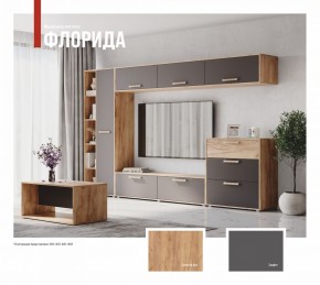 ФЛОРИДА Гостиная (модульная) дуб золотой/графит в Верхней Салде - verhnyaya-salda.mebel24.online | фото