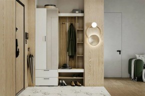Гарнитур для прихожей Торонто в Верхней Салде - verhnyaya-salda.mebel24.online | фото 5