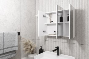 Кларити Шкаф зеркальный 16.312.08 в Верхней Салде - verhnyaya-salda.mebel24.online | фото 2