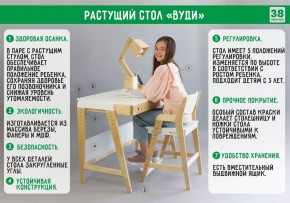 Комплект растущий стол и стул с чехлом 38 попугаев «Вуди» (Серый, Береза, Салют) в Верхней Салде - verhnyaya-salda.mebel24.online | фото