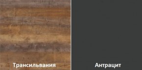 Кухонный гарнитур угловой Трансильвания 2400x1600 мм (Стол. 38 мм) Антрацит/Трансильвания в Верхней Салде - verhnyaya-salda.mebel24.online | фото 3