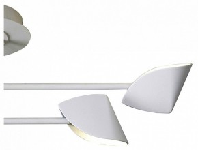 Люстра на штанге Mantra Capuccina 7574 в Верхней Салде - verhnyaya-salda.mebel24.online | фото 3