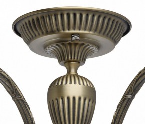 Люстра на штанге MW-Light Аманда 6 481011805 в Верхней Салде - verhnyaya-salda.mebel24.online | фото 10