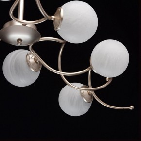 Люстра на штанге MW-Light Оливия 5 306012709 в Верхней Салде - verhnyaya-salda.mebel24.online | фото 10