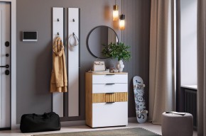 МЕБЕЛЬСОН К21 Прихожая в Верхней Салде - verhnyaya-salda.mebel24.online | фото