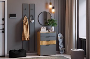 МЕБЕЛЬСОН К21 Прихожая в Верхней Салде - verhnyaya-salda.mebel24.online | фото 2
