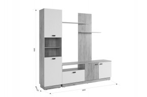 МОДИ К1 Гостиная (белое дерево) в Верхней Салде - verhnyaya-salda.mebel24.online | фото 2