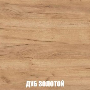 МСП-1 Шкаф 2-х створчатый (Дуб Золотой/Камень темный) в Верхней Салде - verhnyaya-salda.mebel24.online | фото 4