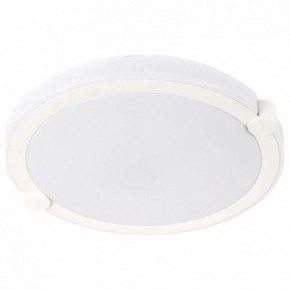 Накладной светильник Arte Lamp Biscotti A2679PL-72WH в Верхней Салде - verhnyaya-salda.mebel24.online | фото