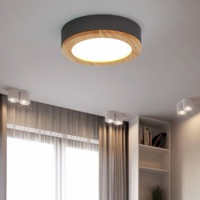 Накладной светильник Imperiumloft Wudda Серый WUDDA01 в Верхней Салде - verhnyaya-salda.mebel24.online | фото 4